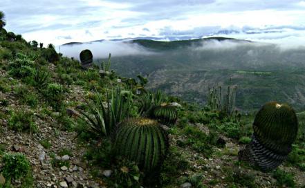 Día Internacional del Patrimonio Mundial. Estas son las aportaciones de Puebla