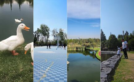 3 parques de Puebla para pasear en durante las vacaciones de verano