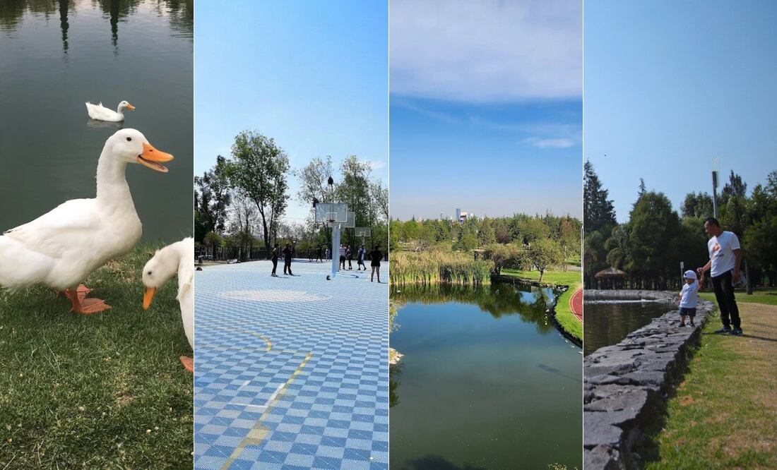 No te pierdas de pasear en los parques de Puebla estas vacaciones | Foto: RRSS