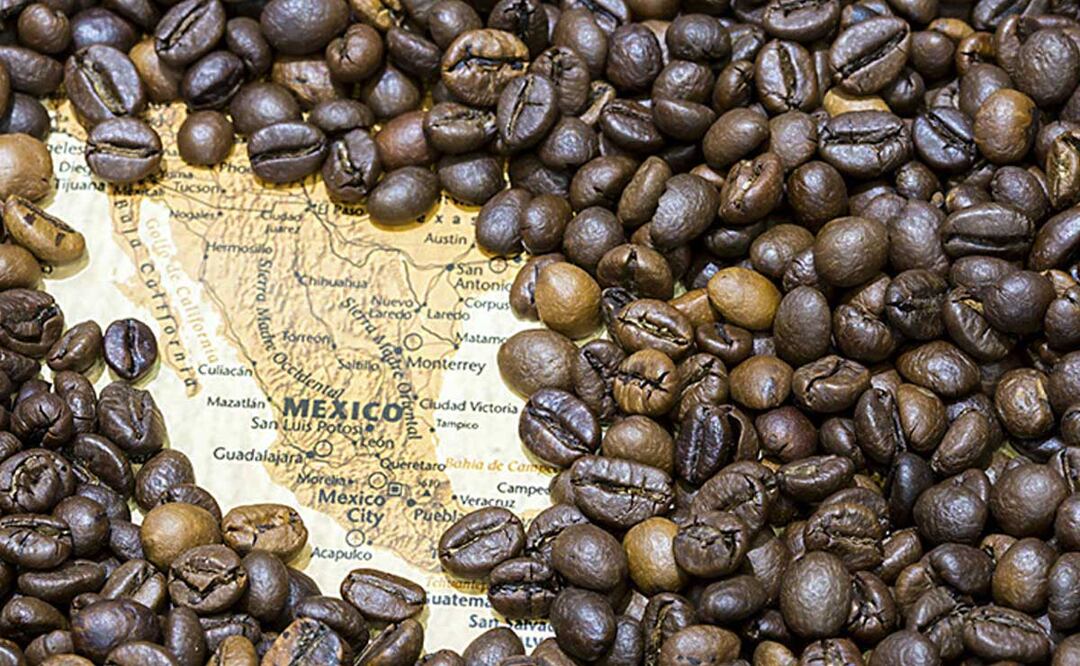 La Bioruta del Café busca fomentar la venta de este producto en los municipios de la Sierra Norte de Puebla | foto: curso Barista Café