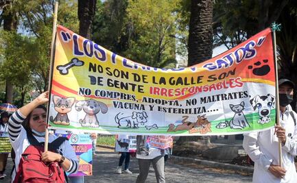 Defensores de animales se manifiestan 
