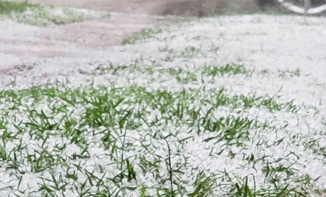 Foto: Agencia Es Imagen para El Universal Puebla