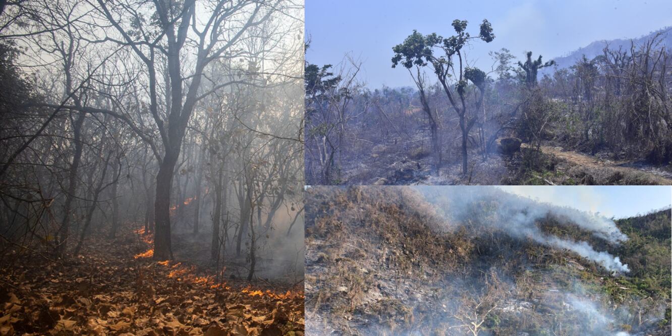 Incendios forestales / Foto Es Imagen