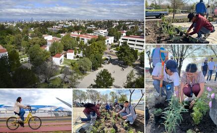 BUAP representará a México en el Premio UNESCO-Japón