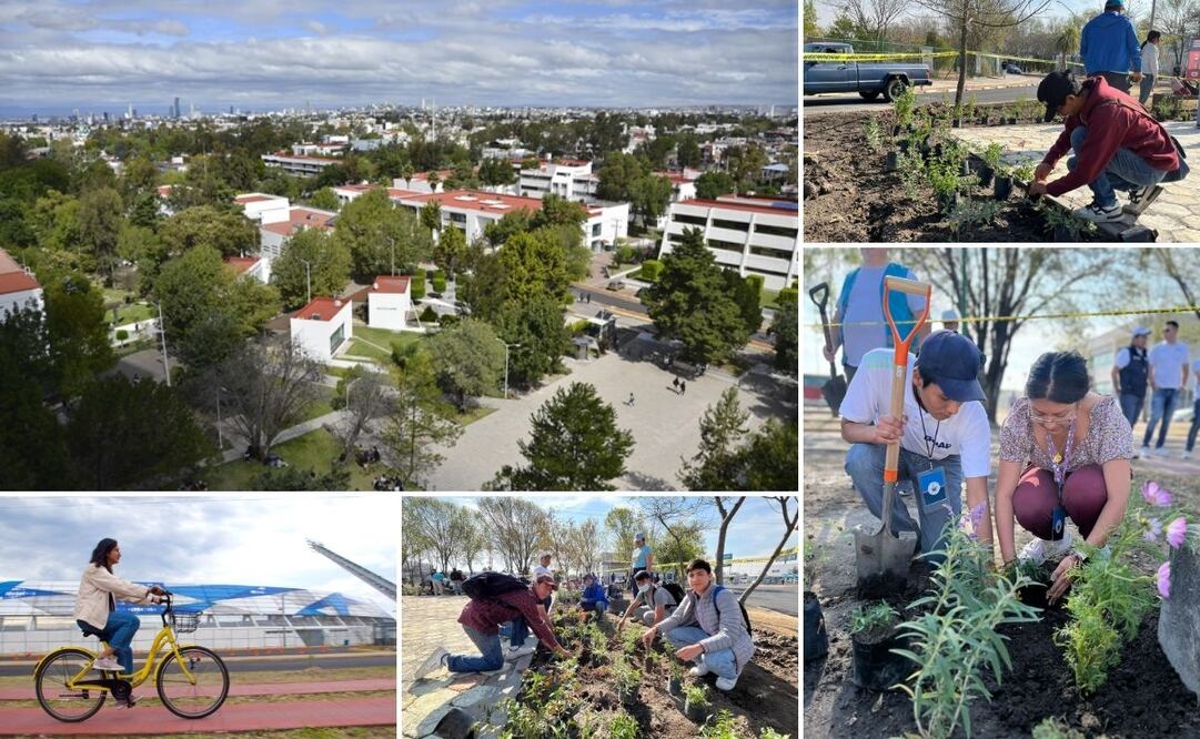 La Buap fue elegida entre más de 12 universidades | Foto: Buap