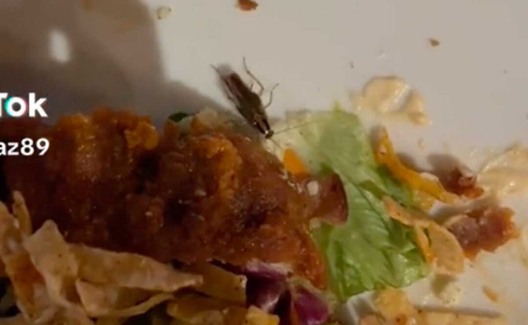 Esta usuaria de TikTok encontró un insecto en su comida | Foto: Captura de Pantalla