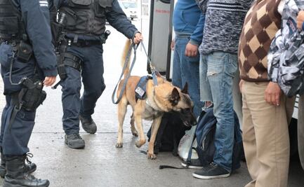 Custodios usan perros para revisar partes íntimas de internos en penal de Tepexi