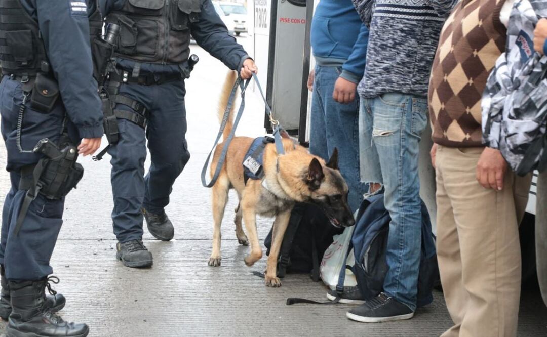 La CDH Puebla emitió una recomendación luego que se acusó que elementos caninos fueron usados para revisar las partes íntimas de un reo. | Foto: Agencia Es Imagen para El Universal Puebla