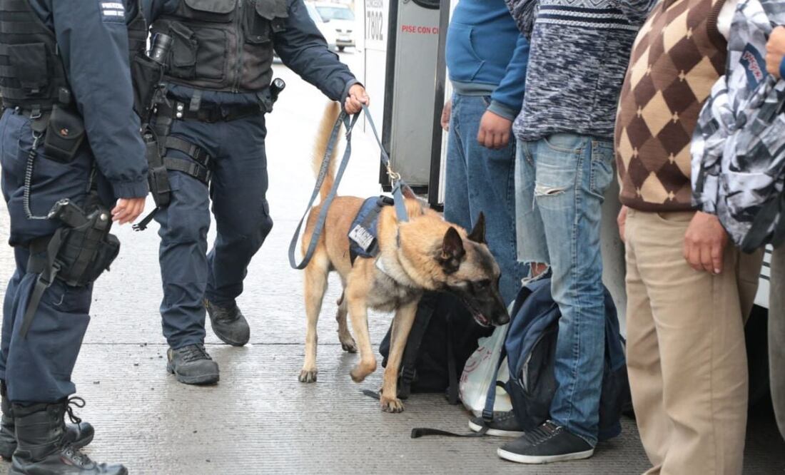 La CDH Puebla emitió una recomendación luego que se acusó que elementos caninos fueron usados para revisar las partes íntimas de un reo. | Foto: Agencia Es Imagen para El Universal Puebla