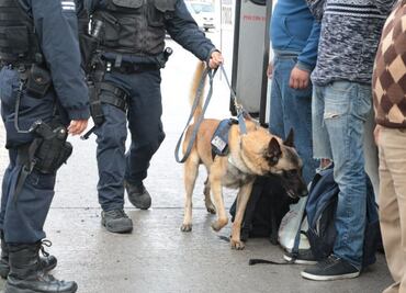 Custodios usan perros para revisar partes íntimas de internos en penal de Tepexi
