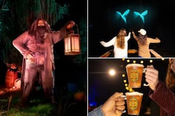 El Bosque Prohibido de Harry Potter que está cerca de Puebla y CDMX