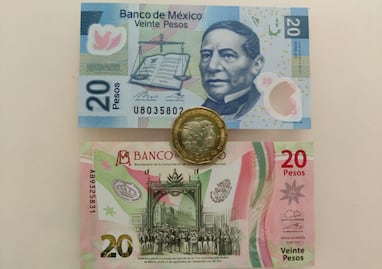 Adiós a los billetes de 20 pesos. Así será su proceso sustitución por monedas