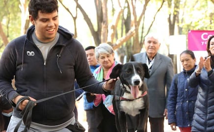 Aumentan denuncias por maltrato animal en la ciudad de Puebla