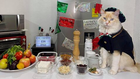 Fygo, el gato chef y su receta de chiles en nogada... meowgada 