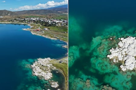 Por qué NO debes nadar en la Laguna de Alchichica, Puebla