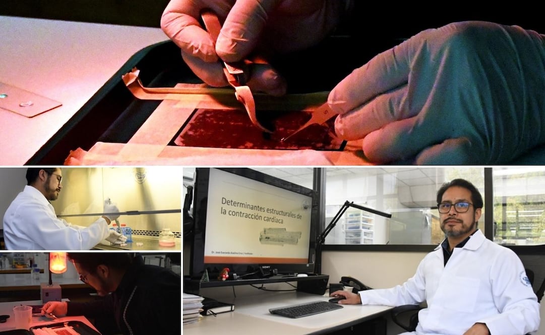 El estudio es realizado por el doctor José Everardo Avelino Cruz, investigador del Instituto de Fisiología de la BUAP | Foto: Buap