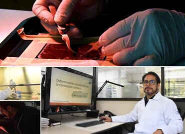 BUAP estudia la relación estructura-función en las células cardiacas