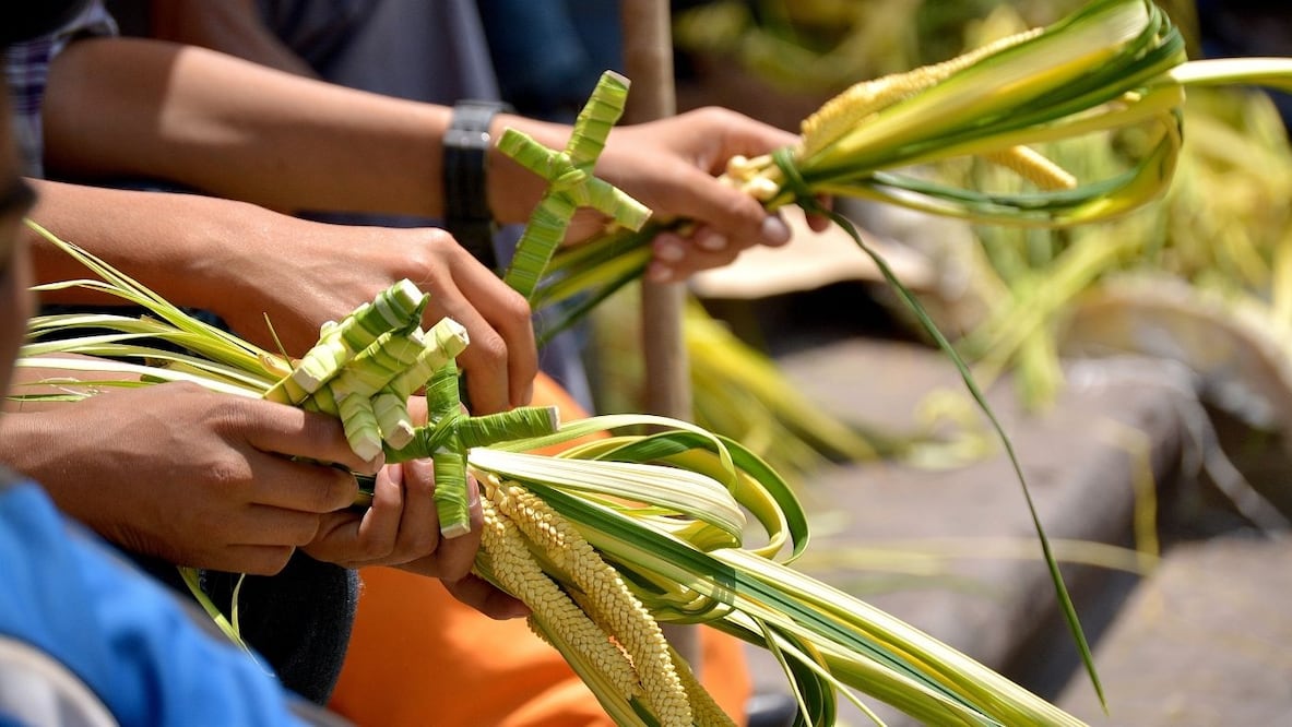 Qué significan las palmas del Domingo de Ramos