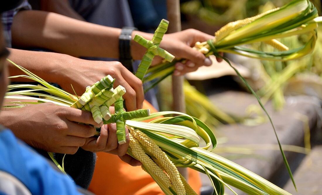 Qué significan las palmas del Domingo de Ramos