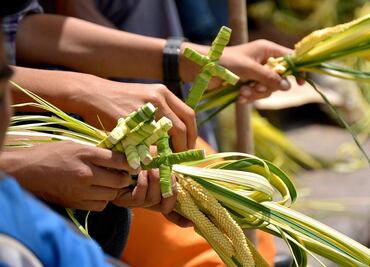 Qué significan las palmas del Domingo de Ramos