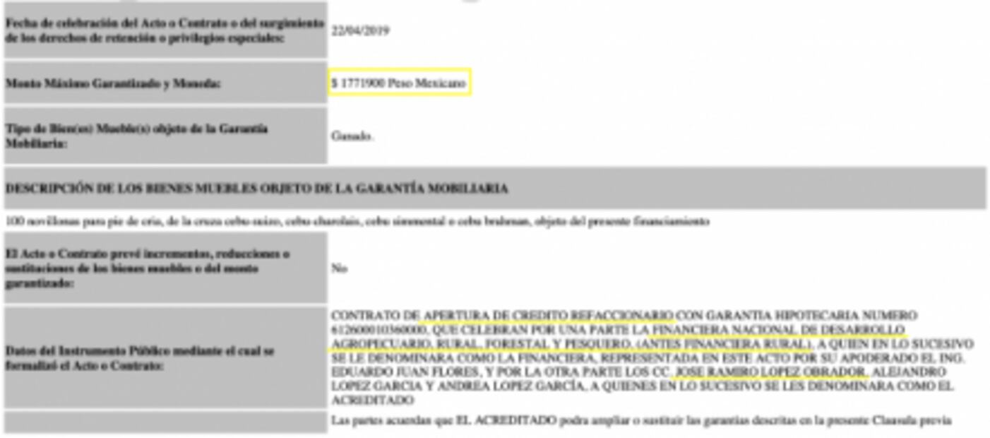 Hermano de AMLO, beneficiado con crédito millonario del gobierno