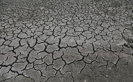 Todo lo que se sabe sobre la sequía extrema en Chignahuapan, Puebla