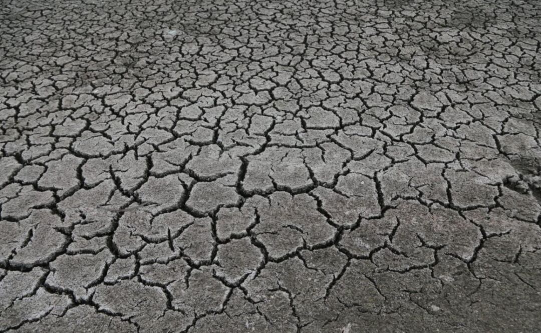 La reducción de lluvias y la tala clandestina de árboles abonaron para que Chignahuapan tenga una declaratoria de sequía extrema | Foto: Agencia Es Imagen para El Universal Puebla