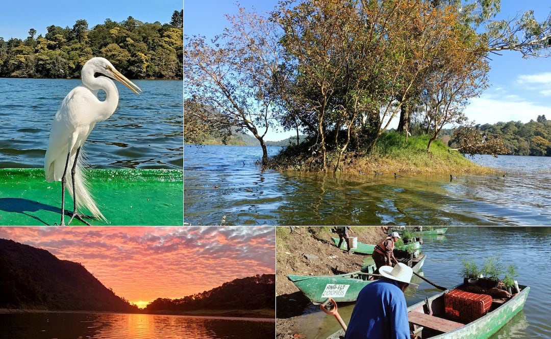 Un grupo de pescadores en Puebla protege a aves en peligro de extinción | Foto: Pescadores de Patoltecoya