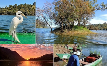 Pescadores protegen de los cazadores a las aves de la Presa Necaxa