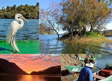 Pescadores protegen de los cazadores a las aves de la Presa Necaxa