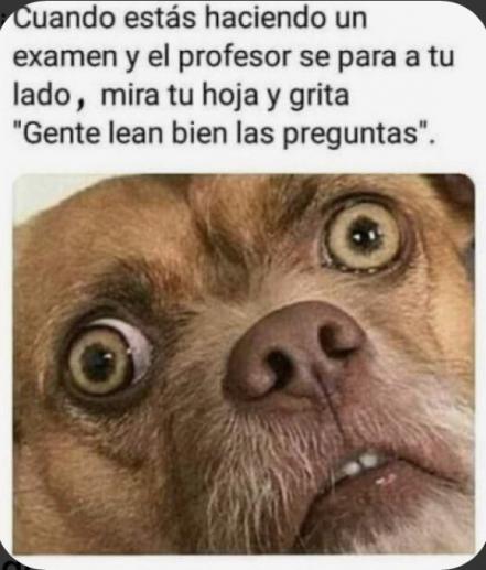 Día del Maestro: frases típicas de profe y memes