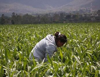 Pobreza, desigualdad y desnutrición; los retos de las mujeres rurales en Puebla