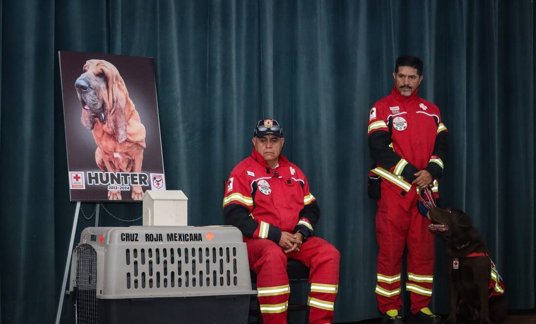 El perro rescatista Hunter fue homenajeado tras su fallecimiento | Foto: EsImagen