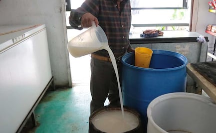 Pulque Puebla. Dónde se puede encontrar esta bebida de los dioses