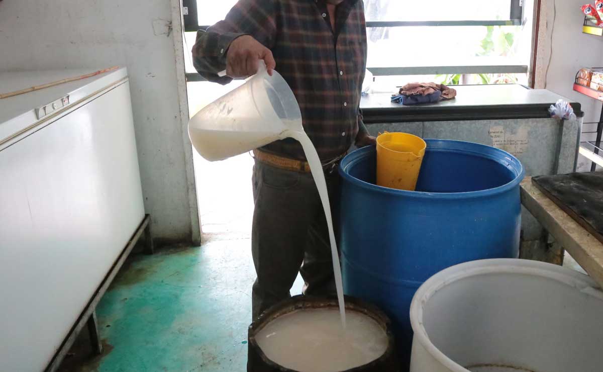 Pulque Puebla. Dónde se puede encontrar esta bebida de los dioses