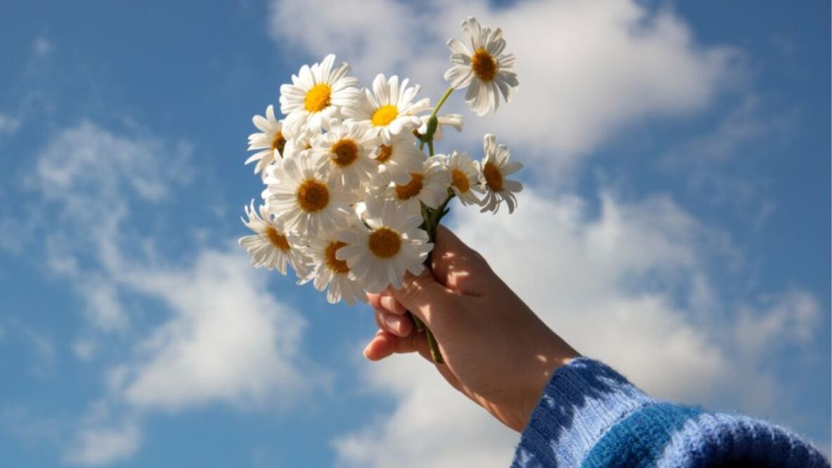 Regalar estas flores tiene un significado muy especial-