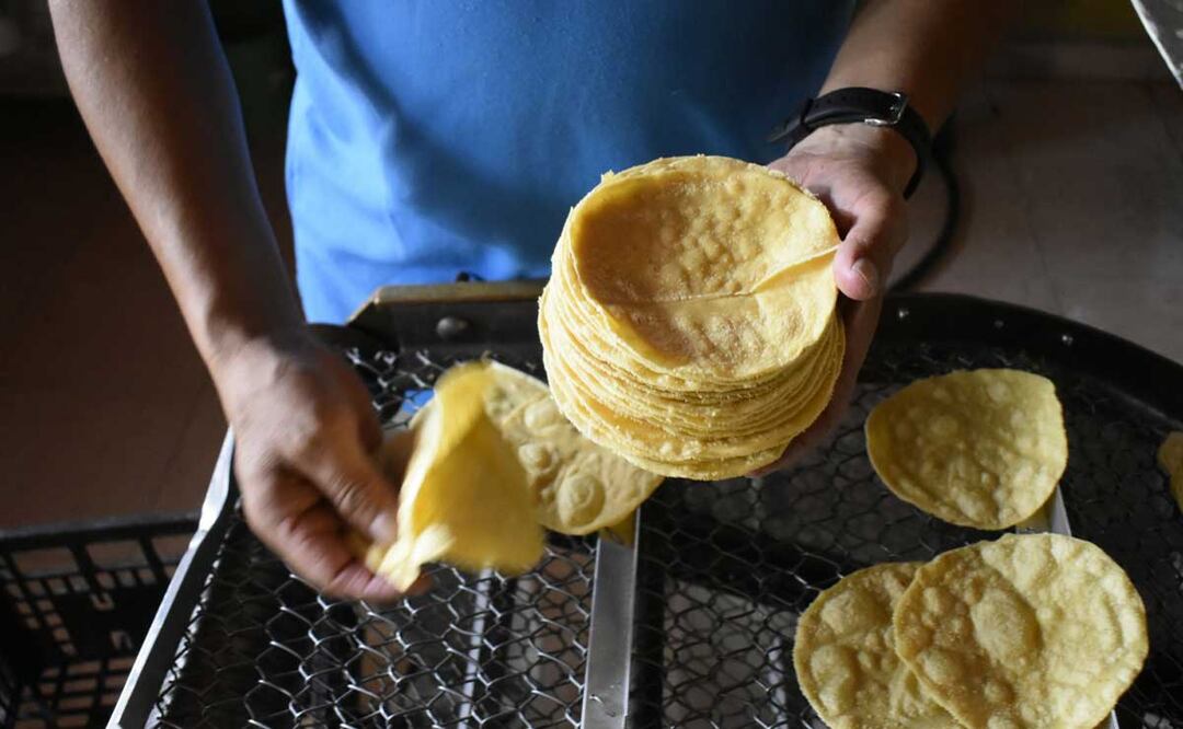 Conoce los beneficios de este alimento. Foto: Agencia Es Imagen para El Universal Puebla