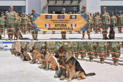 Estos son los perros rescatistas mexicanos que viajaron a Venezuela tras los terremotos