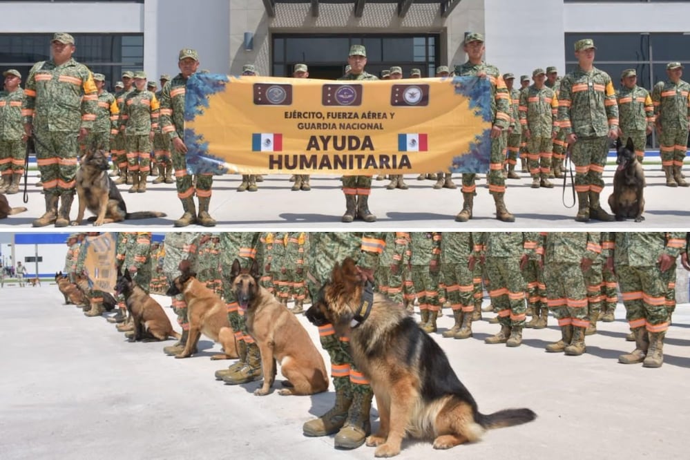 Los 18 binomios canófilos forman parte del contingente mexicano enviado para apoyar las labores de rescate en Venezuela | Foto: Gobierno de México
