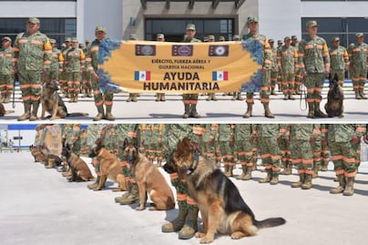Estos son los perros rescatistas mexicanos que viajaron a Venezuela tras los terremotos