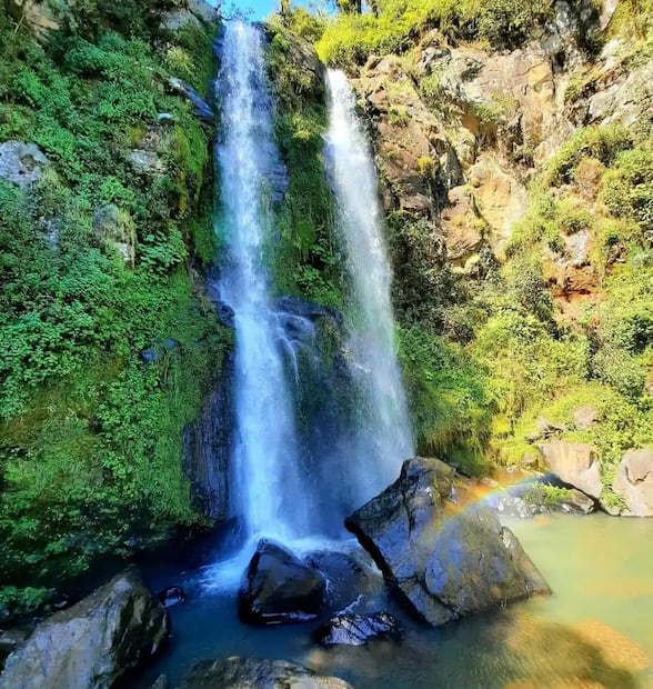 Honey | Foto: BrayanSuccess