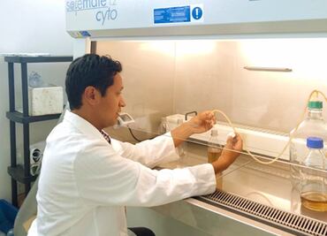 Científico de la BUAP estudia microorganismos que inhiben el crecimiento de patógenos