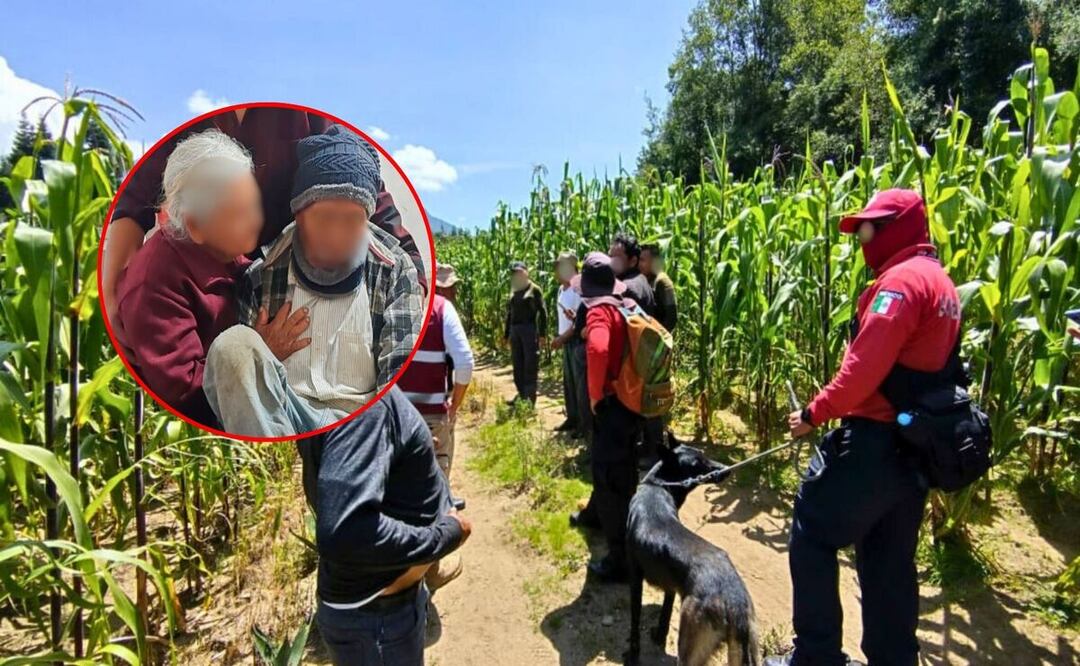 Se realizaron acciones de búsqueda en diferentes puntos de la capital poblana | Foto: Gobierno del Estado