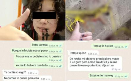 Justicia Para Huellitas, todo lo que sabemos del asesinato de un cachorro en Huauchinango