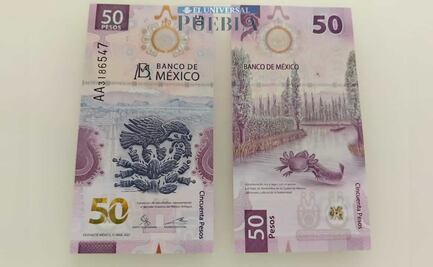 Cuáles son las cinco versiones del billete de 50 pesos del ajolote