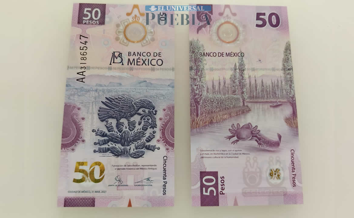 Cuáles son las cinco versiones del billete de 50 pesos del ajolote