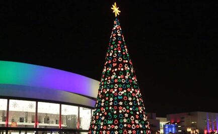 Cuándo es recomendable quitar el árbol de Navidad