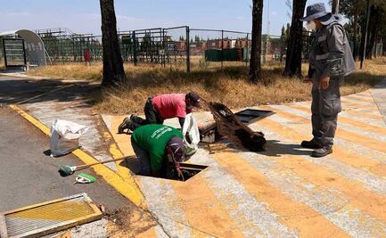 Preparan el campus UDLAP para el regreso a clases presenciales