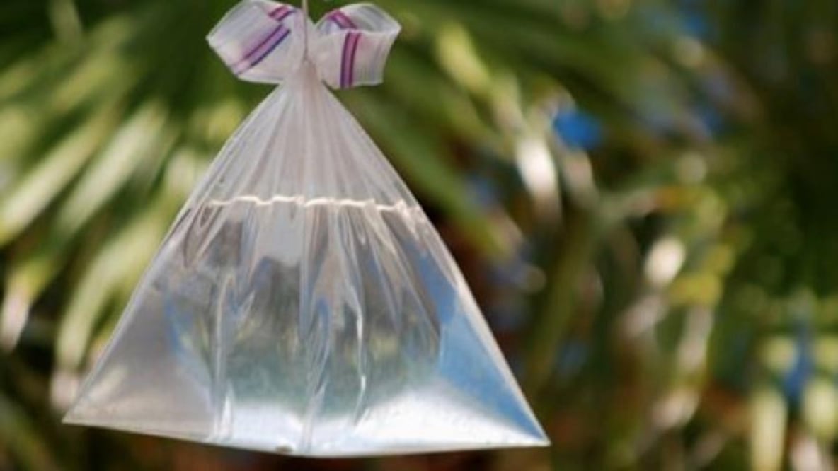 Después de las primeras semanas cálidas, el verano nos trae a nuestros amigos no deseados: las moscas.
Foto: Producción El Universal