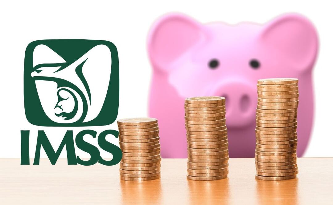 En junio de 2024 habrá un aumento para las pensiones del IMSS / Foto: Pixabay / IMSS